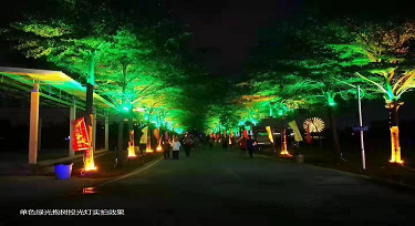 RGBW投光燈帶領(lǐng)光臣走進月亮湖項目